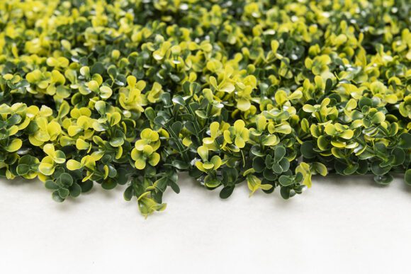 6-11-mz188003α50x50_1