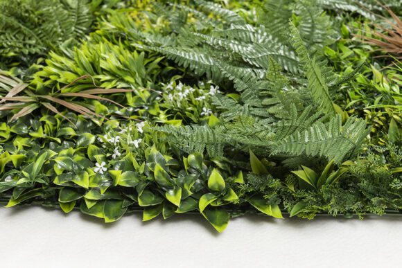 6-11-mz189023α1x1_1