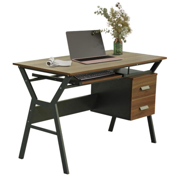 grafeio-karydi-gkri-me-mat-gkri-skeleto