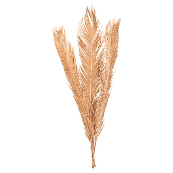 diakosmitiko-apoxirameno-set-3-fyllon-fo